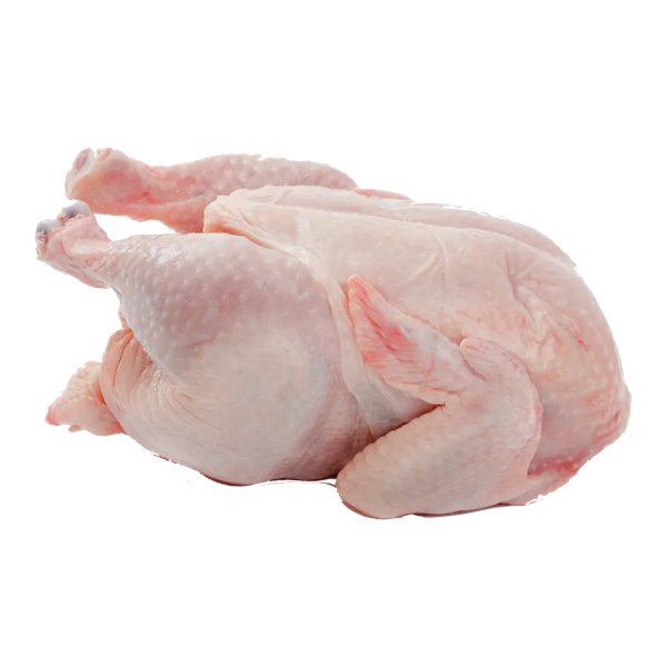 Chicken Meat